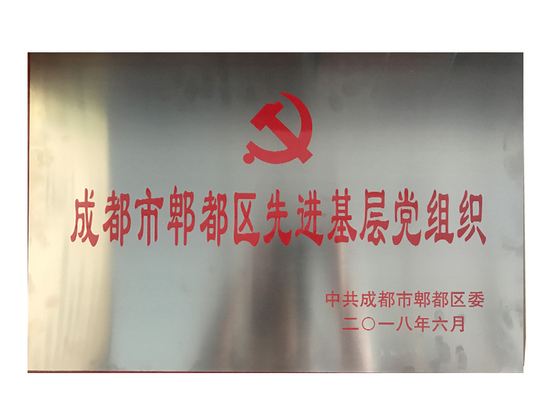 2018年6月   中共成都市郫都區婦幼保健院總支部委員會被評為先進基層黨組織