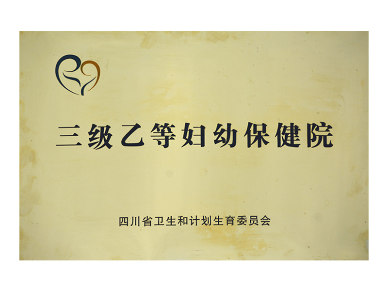 三級乙等婦幼保健院