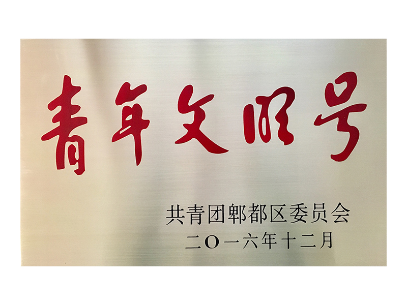 2016年12月  獲區級青年文明號稱號