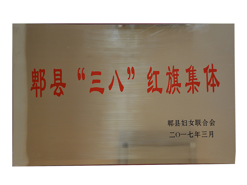 2017年3月  區婦幼保健院孕產保健部榮獲三八紅旗集體稱號